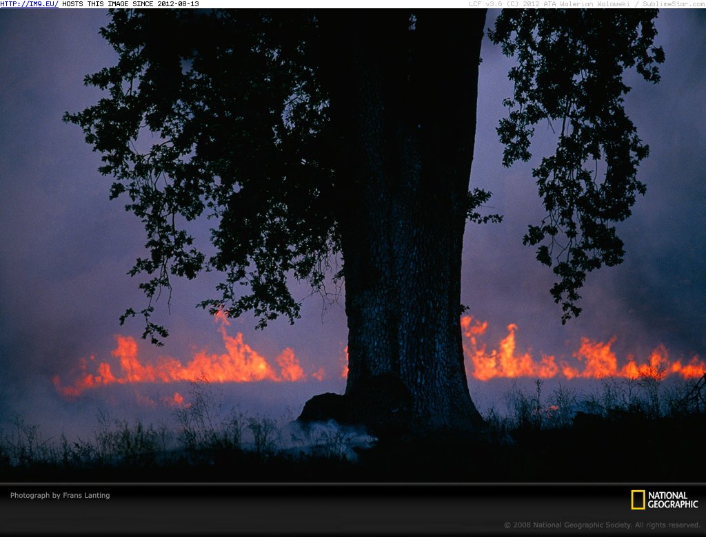 Wildfire Burns Lanting (in National Geographic Photo Of The Day 2001-2009)