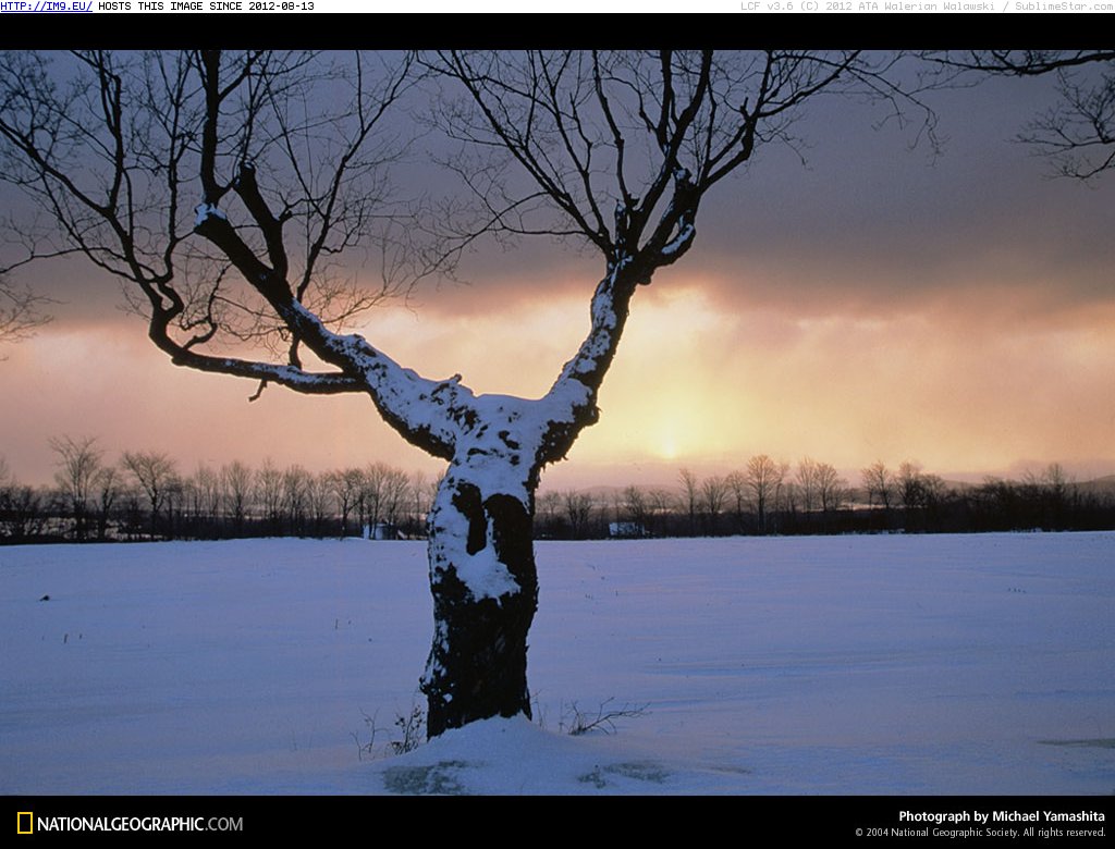 Winter Sky (in National Geographic Photo Of The Day 2001-2009)
