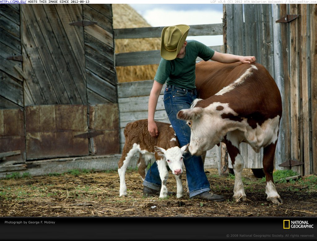 Young Rancher Mobley (in National Geographic Photo Of The Day 2001-2009)