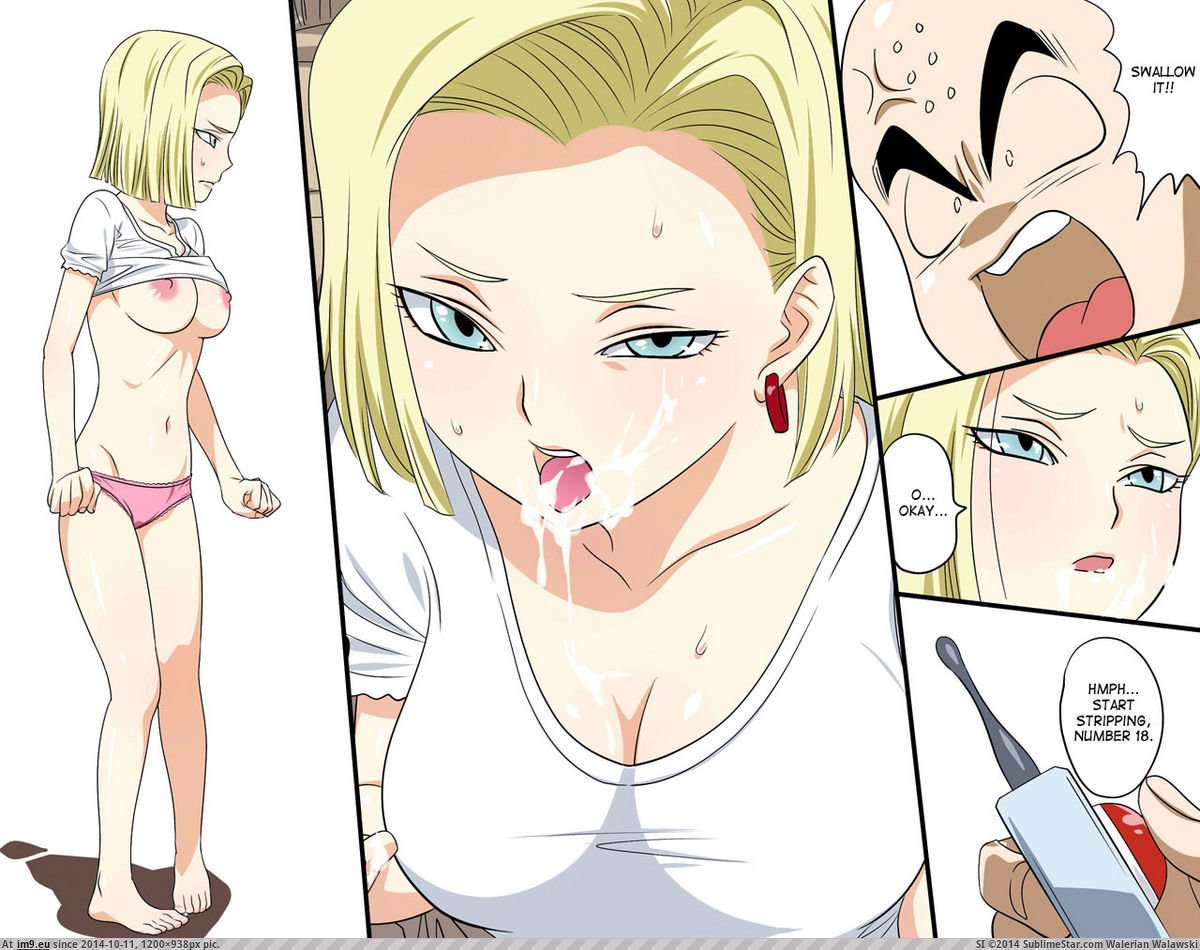 005 (in Android 18)
