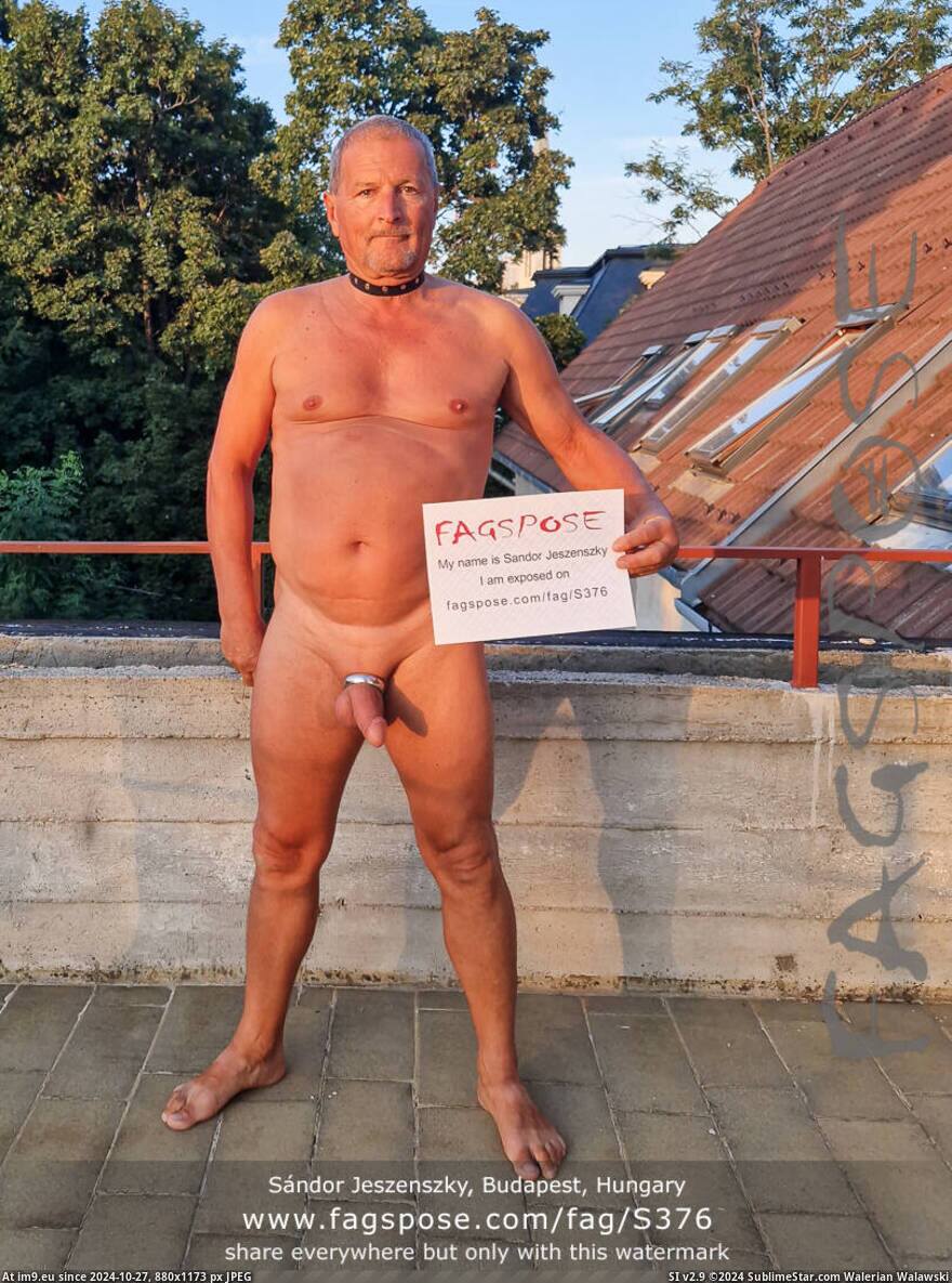 #Naked #Fag #Hungary #Jeszenszky #Exposedfag #Fagexposed #Faggotexposed #S376 #Budapest #Exposedfaggot #Sandor 02-Sandor Jeszenszky S376 Pic. (Image of album Sandor Jeszenszky from Budapest Hungary exposed by Fagspose fag-id S376))