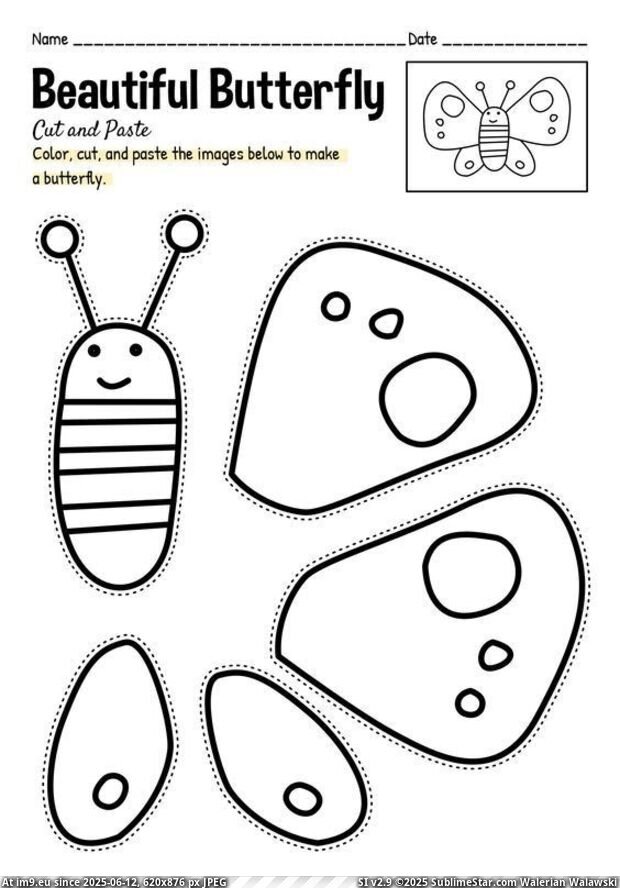 #Color #Cut #Paste #Butterfly #Coloring 0894ac24dc9a21dc1b9b70b52c1a9f13 Pic. (Obraz z album Butterfly))