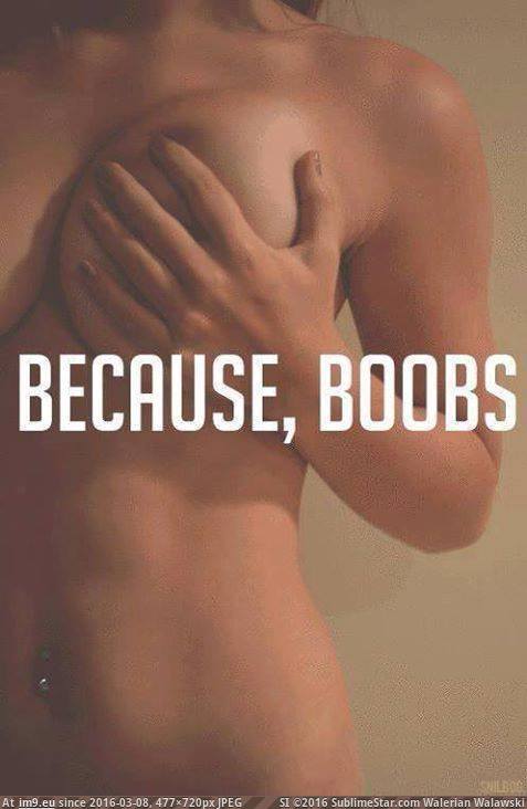 #Boobs 10687142_1508422029403204_4434646103716919115_n Pic. (Image de album Because Boobs))