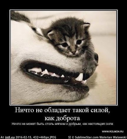 #Image Доброта и сила Pic. (Obraz z album Rehost))