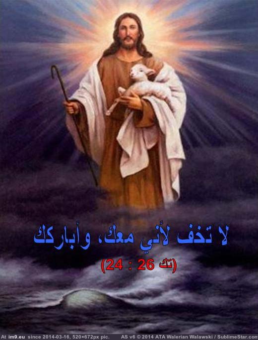 #Image 17 Pic. (Obraz z album wadie 0))