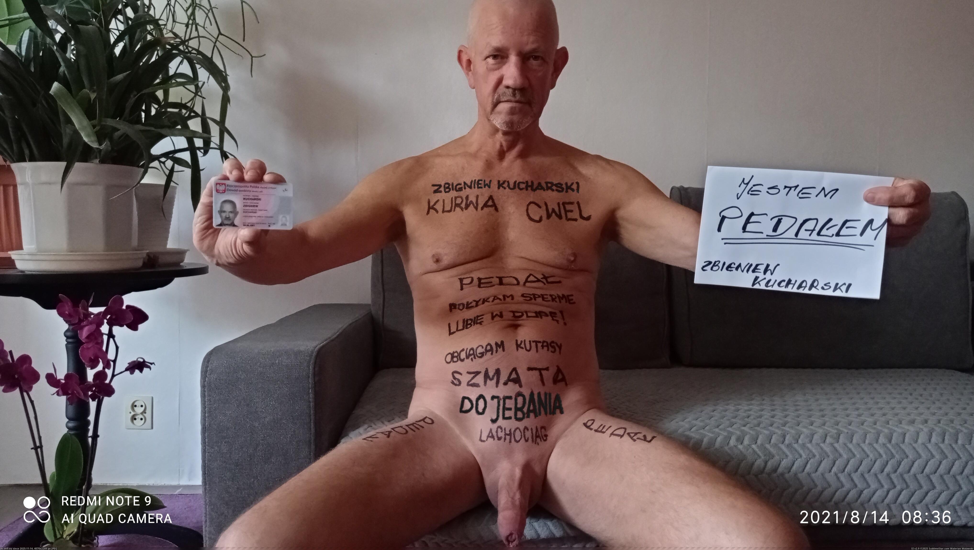 Pic In Zbigniew Kucharski Polish Faggot 663238B 175 11 pic-in-zbigniew-kucharski-polish-faggot-663238b-175-11
