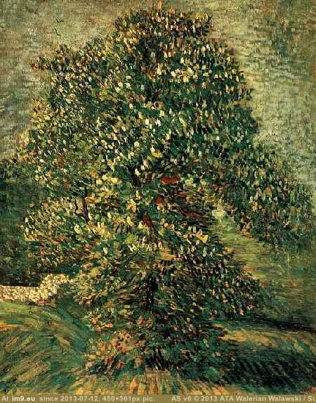 1887 Chestnut Tree in Blossom (in Vincent van Gogh Paintings - 1886-88 Paris)