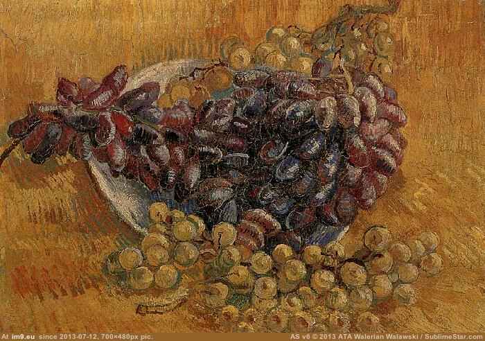1887 Still Life with Grapes (in Vincent van Gogh Paintings - 1886-88 Paris)