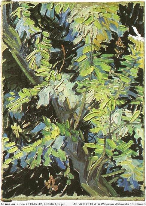 1890 Blossoming Acacia Branches (in Vincent van Gogh Paintings - 1890 Auvers-sur-Oise)