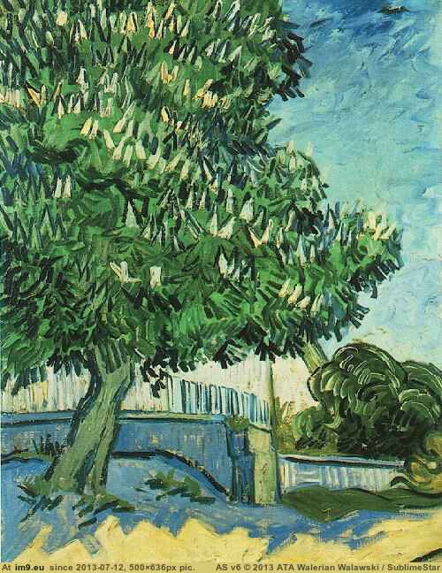 1890 Chestnut Tree in Blossom (in Vincent van Gogh Paintings - 1890 Auvers-sur-Oise)