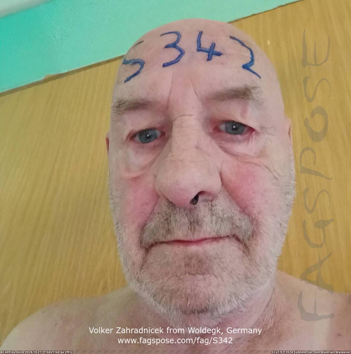 #Ass #Exposed #Fag #Man #Faggot #Slave #Germany #Expose #Piercings #Senior 20240220-001-Volker Zahradnicek from Woldegk, Germany Pic. (Image of album Volker Zahradnicek from Woldegk Germany exposed by Fagspose fag-id S342))