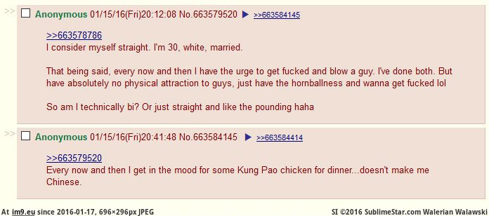 [4chan] Anon explains why having gay sex doesn't make you gay (in My r/4CHAN favs)