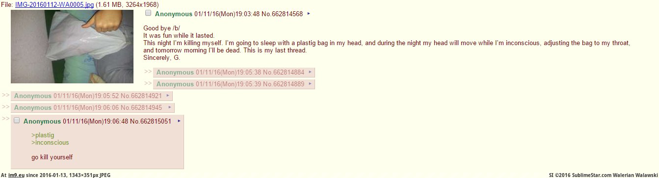 [4chan] Anon Kills himself with plastig (in My r/4CHAN favs)