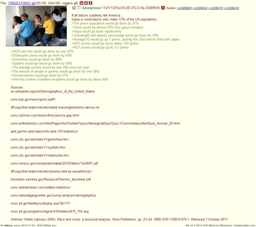 [4chan] If all blacks left the USA, by -pol- (in My r/4CHAN favs)