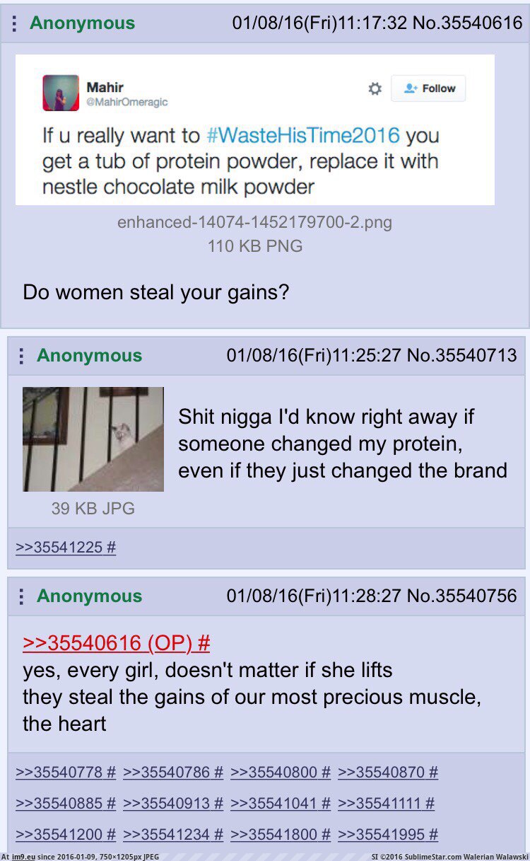 [4chan] The true threat of gains goblins (in My r/4CHAN favs)
