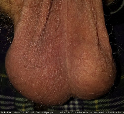 #Boobs #Pussy #Amateur #Sexyass #Sexybabes #Hottits #Bigtits #Busty #Hotbabes #Fuckyeah #Hotass #Pthc 5R8QYpL Pic. (Image of album Rando-Wilders))