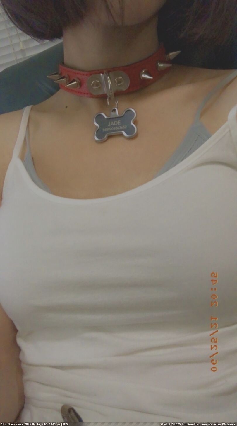 #Amateur #Asian 6487CA50-AEA5-443B-8D4B-BB3271DE52FA Pic. (Obraz z album Jade Ewing))