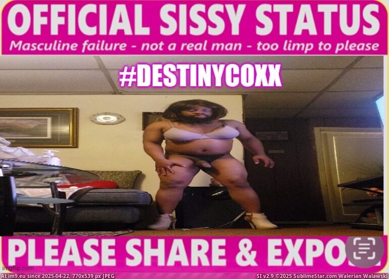 7xcrln (in Sissy exposed)