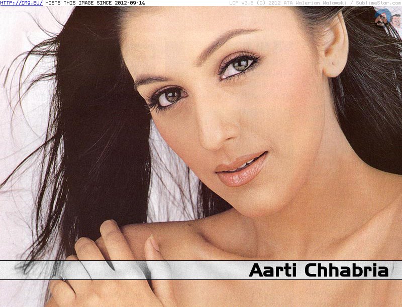 Aarti Chhabria 1 wallpaper (in Sexiest Bollywood Actress - Aarti Chhabria)