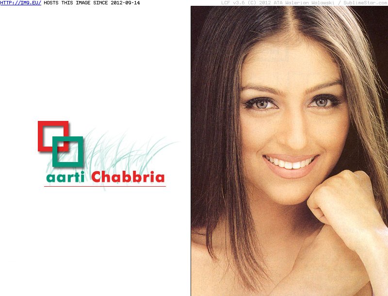 Aarti Chhabria 4 wallpaper (in Sexiest Bollywood Actress - Aarti Chhabria)