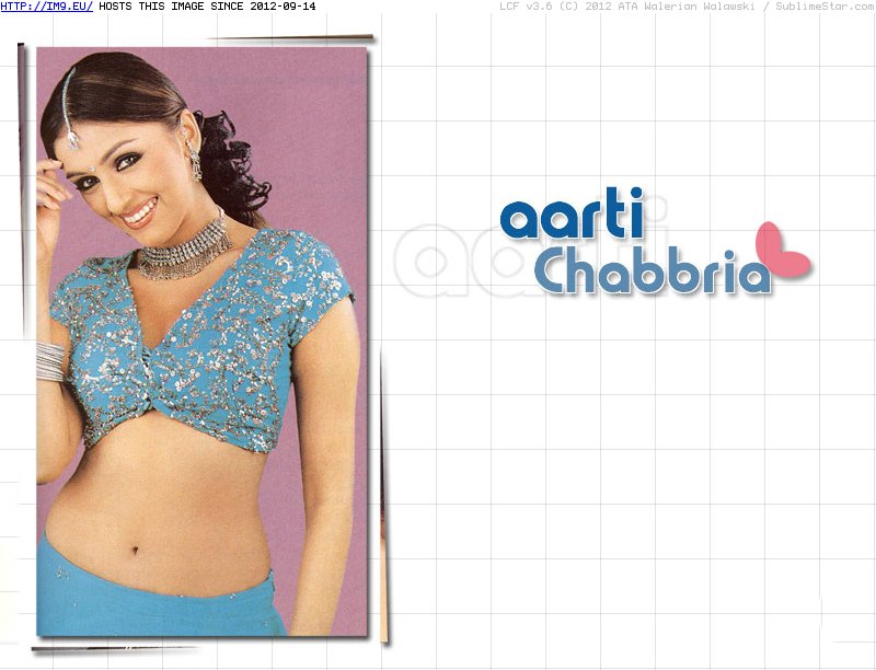 Aarti Chhabria 5 wallpaper (in Sexiest Bollywood Actress - Aarti Chhabria)