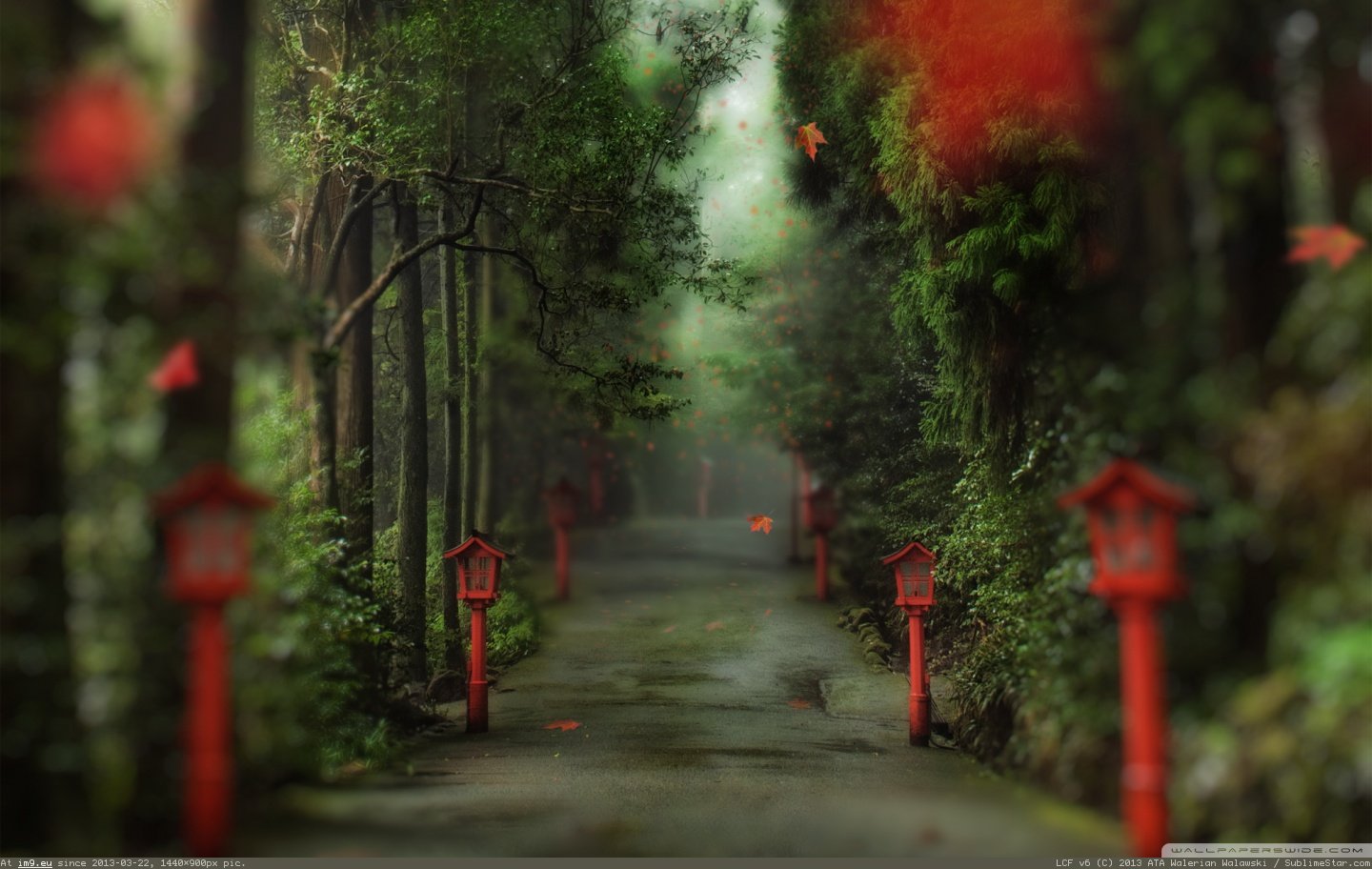 alley_in_the_forest-wallpaper-1440x900 (in Tiburon36)