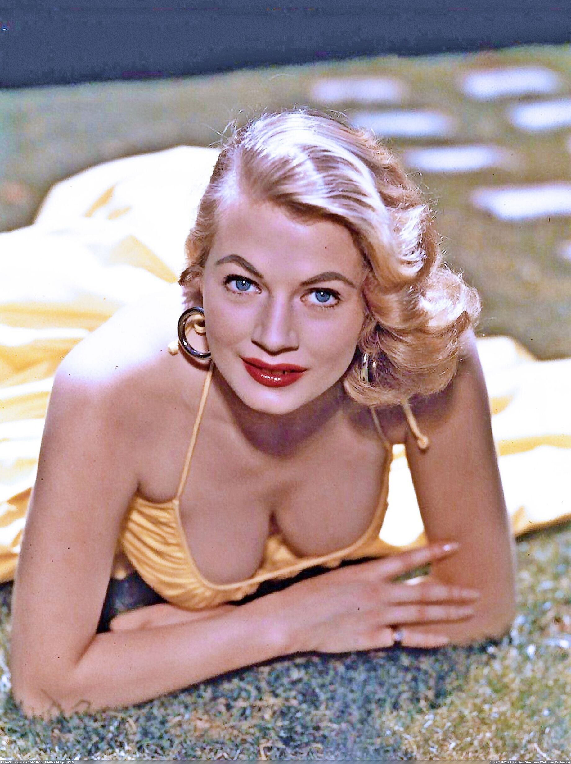 #Tits #Sexy #Softcore #Tette #Anita #Ekberg #Photo #Model #Erotic Anita Ekberg tette Pic. (Изображение из альбом tette))