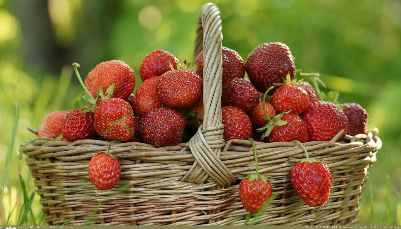 Basket Of Strawberries Wallpaper 1366X768 (in Food and Drinks Wallpapers 1366x768)
