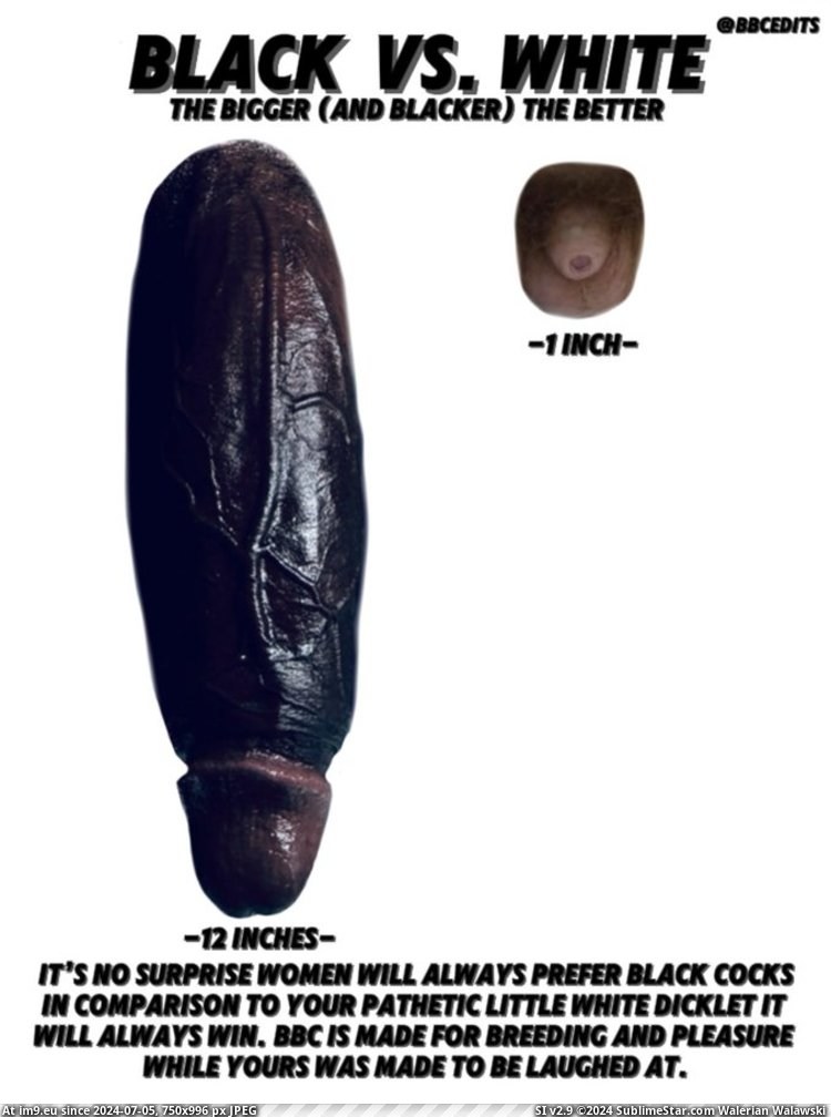 #Cock #White #Bbc #Black bbc vs white dicklet Pic. (Obraz z album Instant Upload))