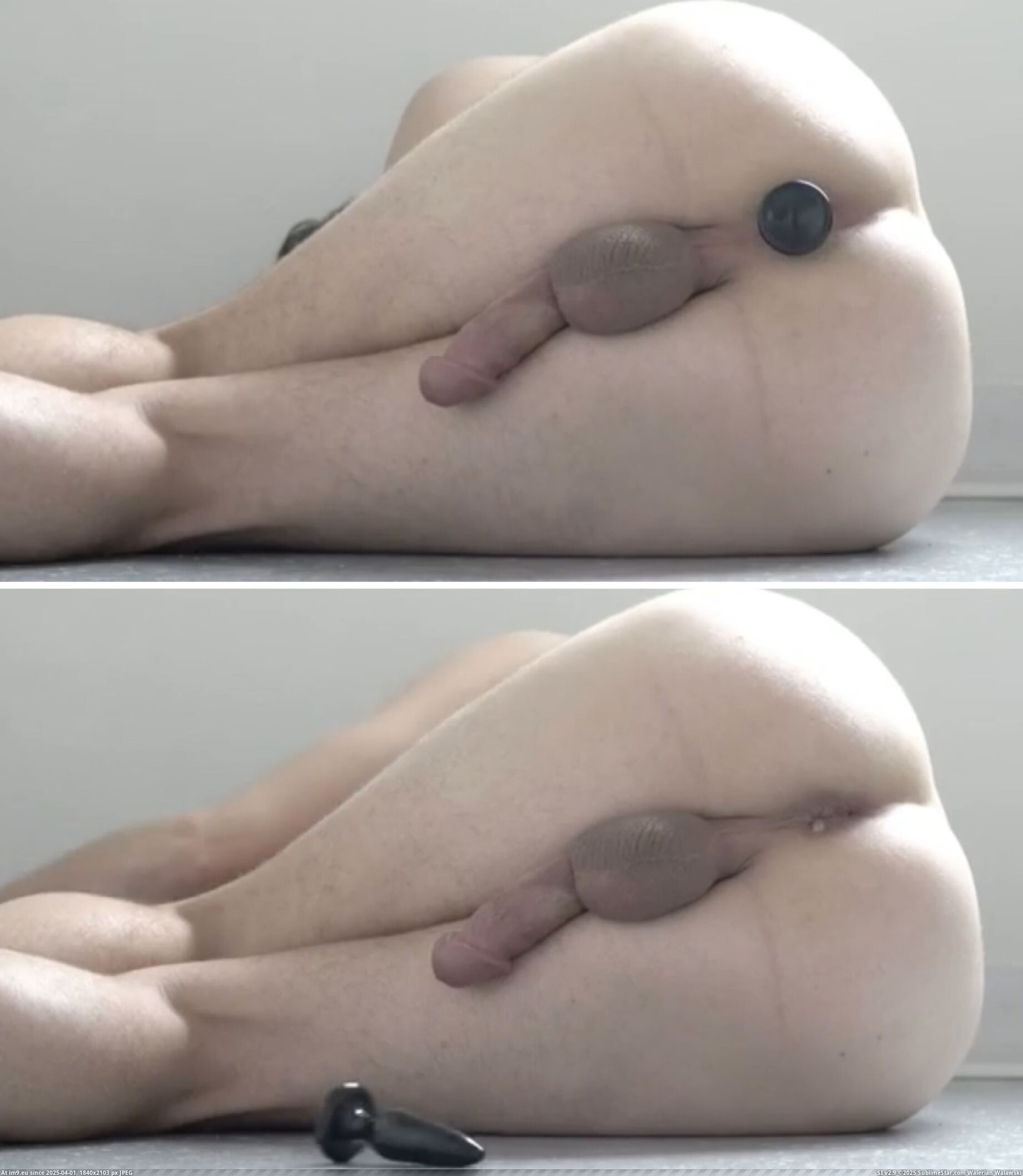 bdsmlr-11454939-LcMpX8qgEi (in BDSMLR)
