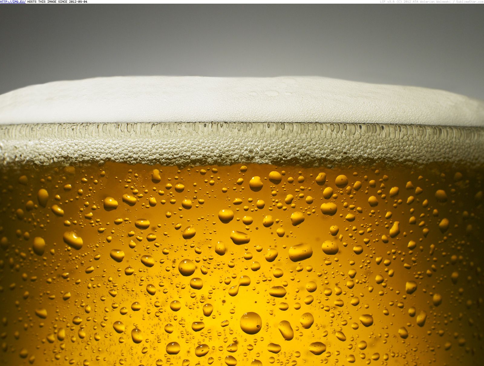 Beer (in Beautiful photos and wallpapers)