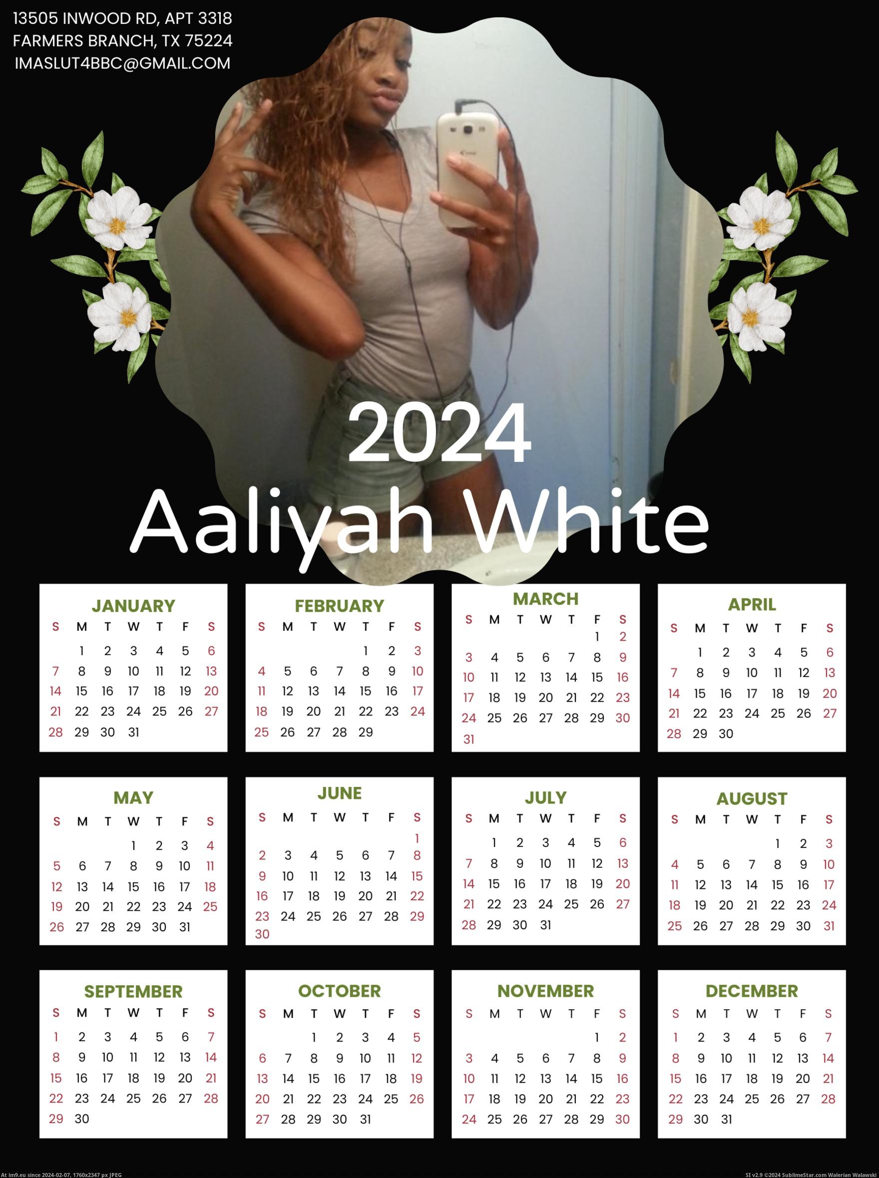 #Photo #Ebony #Calendar #Beige #Green #Dallas Beige And Green Photo 2024 Calendar (9) Pic. (Image of album Aaliyah White Free Use Nigger Slut))