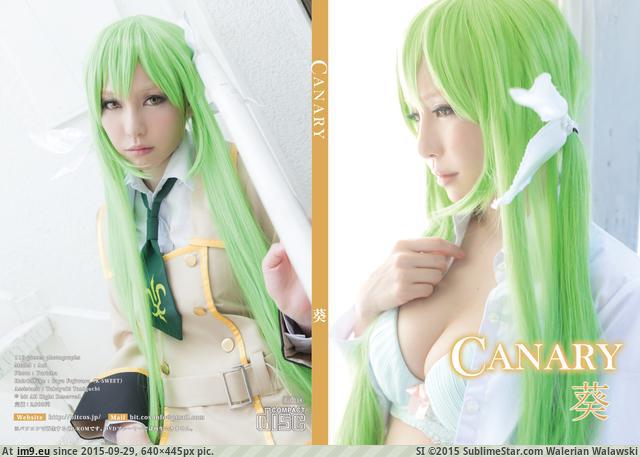 #Bit bit_034Canary Pic. (Bild von album torscrape))