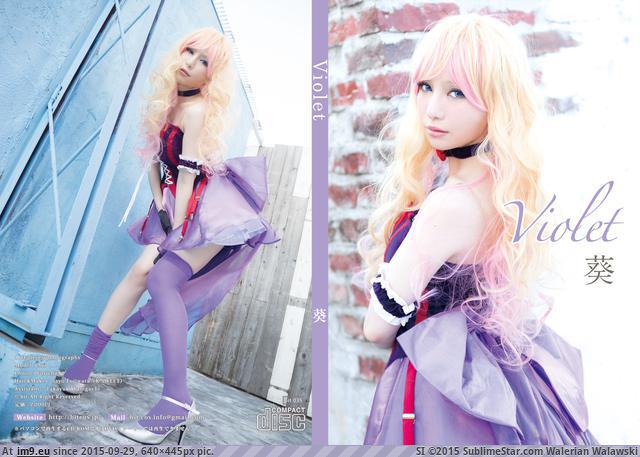 #Bit bit_035Violet Pic. (Image of album torscrape))