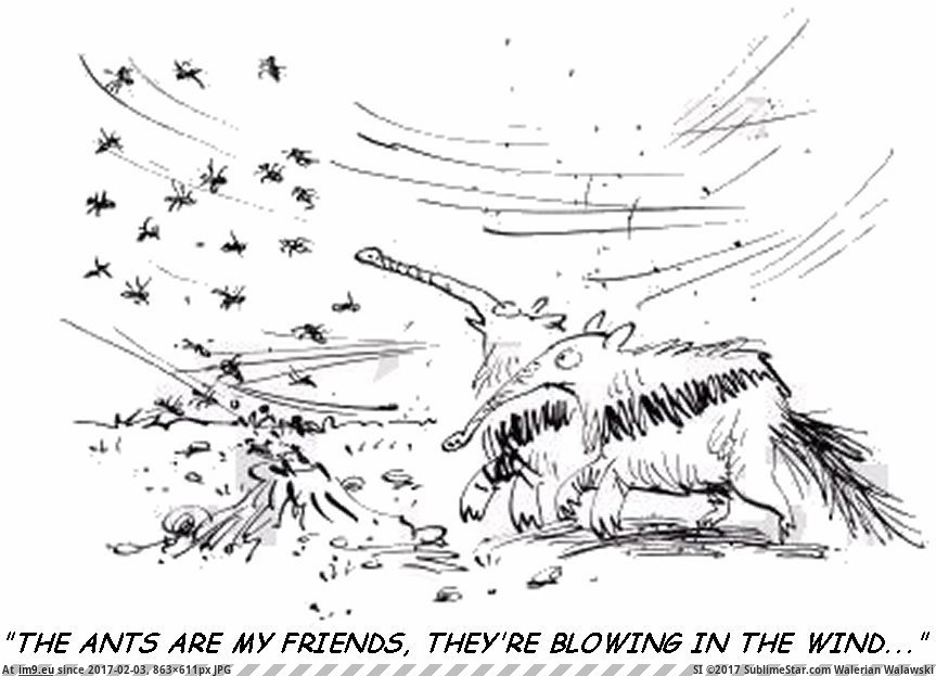 #Wind #Blowing Blowing in the Wind-1 Pic. (Image of album Westman Jams Images))