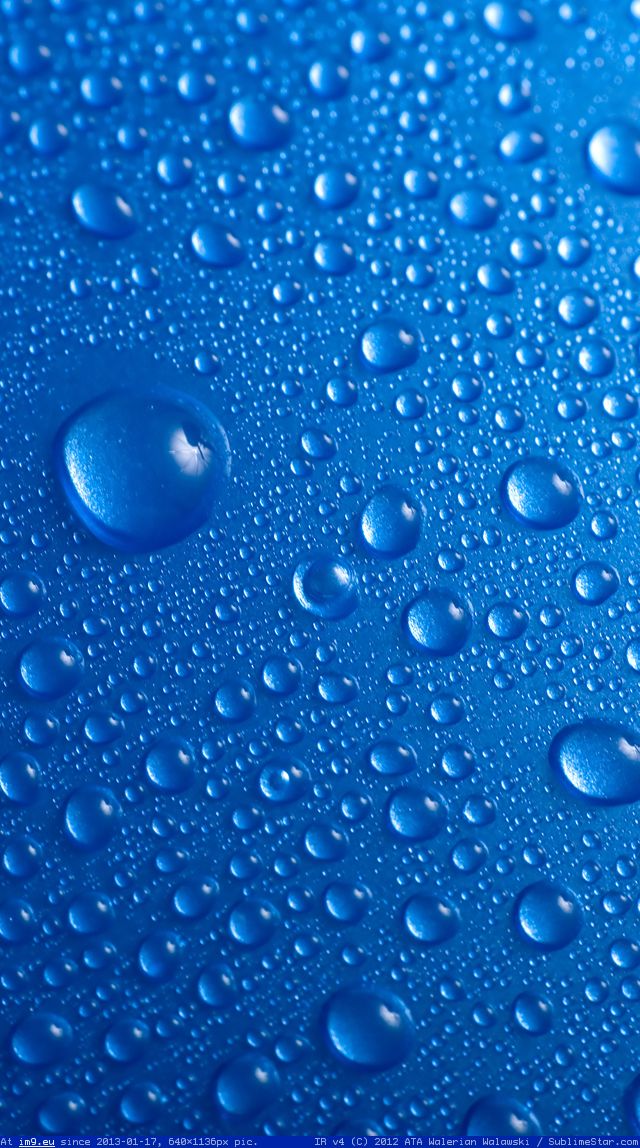 Blue Drops Iphone 5 Wallpaper Ilikewallpaper Com (iPhone wallpaper) (in IPhone 5 wallpapers W3S)
