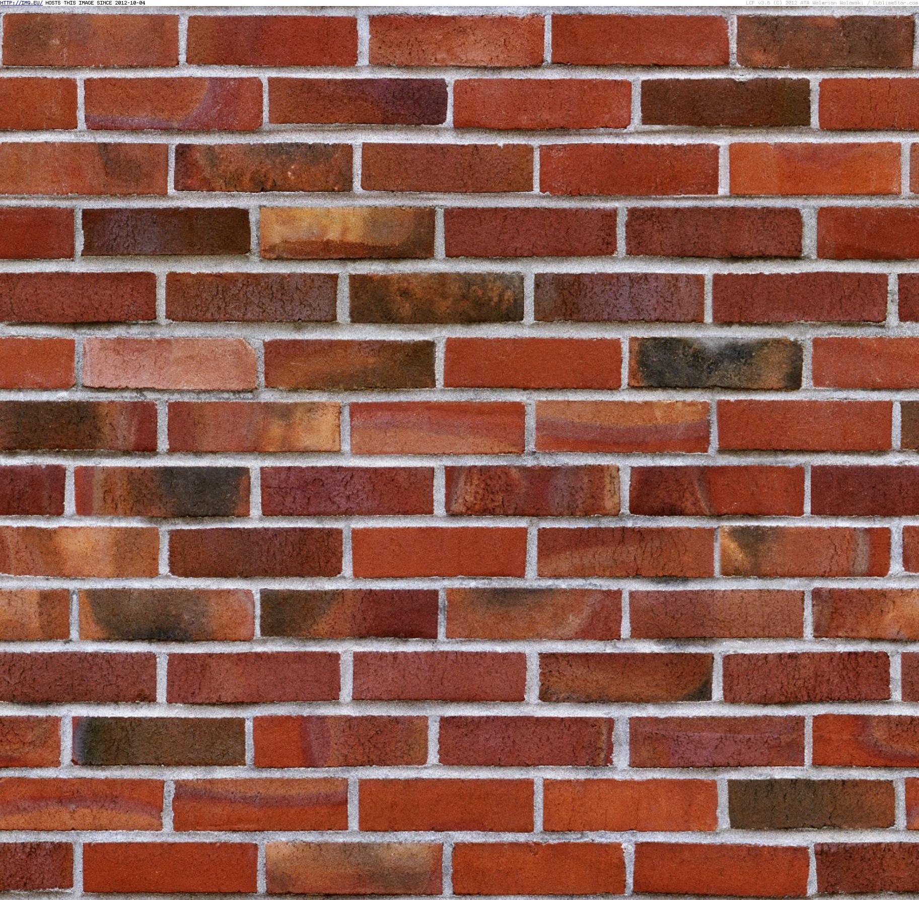 Brick wall texture 8 (in Brick walls textures and wallpapers)