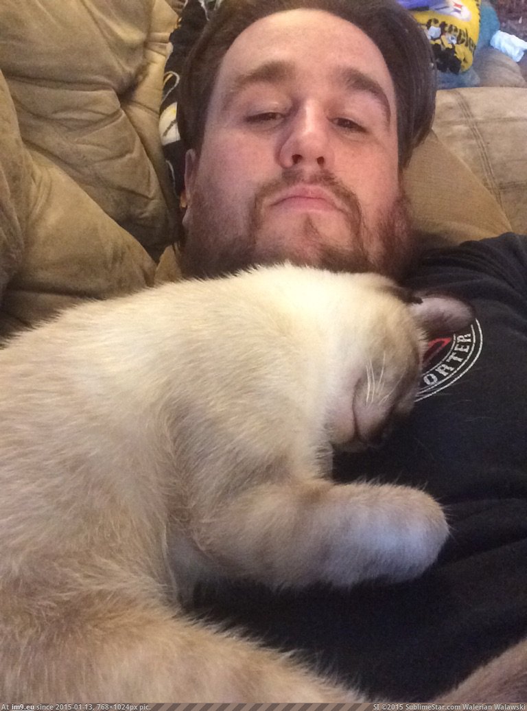 [Cats] Best day off nap I've had in awhile, if you've never had a cat sleep on you like this then you're missing out (in My r/CATS favs)
