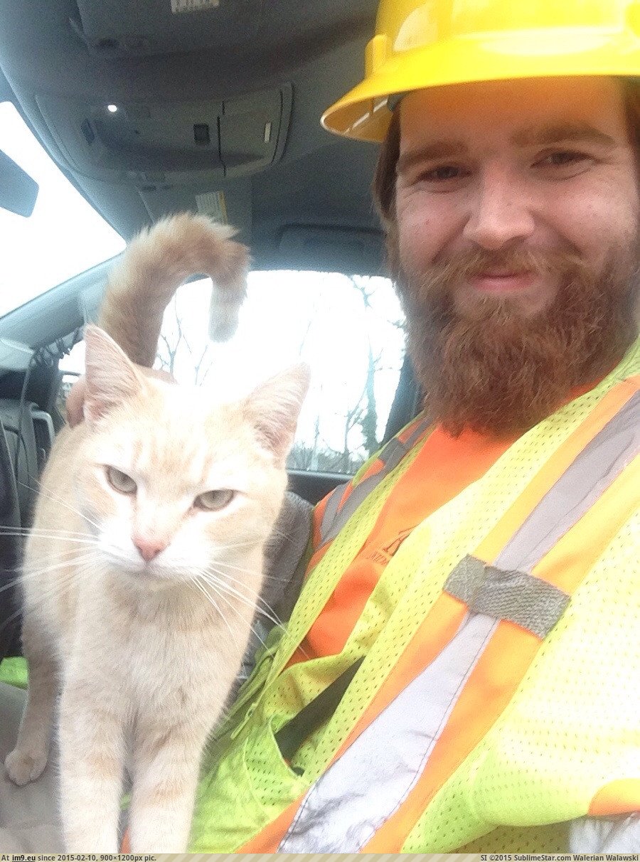 [Cats] Day 4 on the job. It's been a long weekend but me and my buddy are back hanging out again. He couldn't wait to jump in. : (in My r/CATS favs)