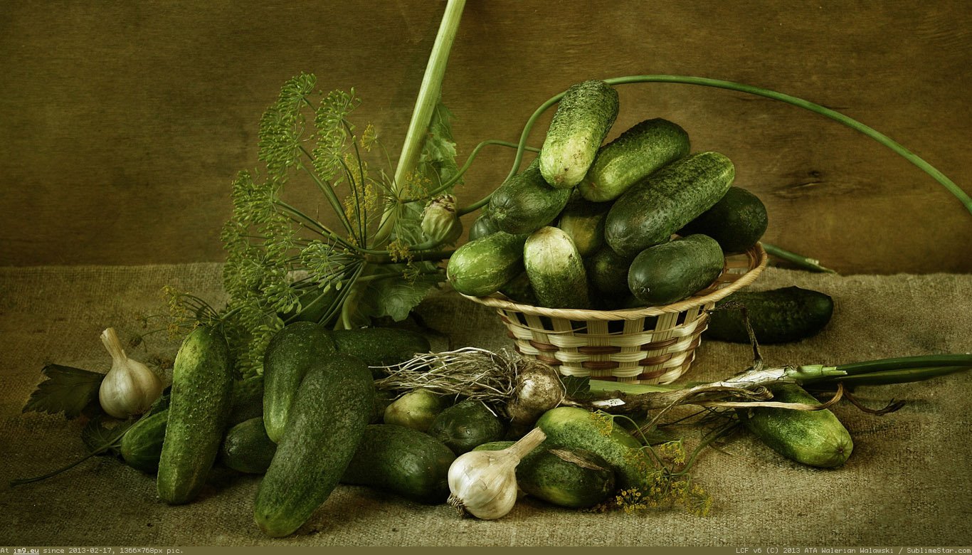 Cucumber Wallpaper 1366X768 (in Food and Drinks Wallpapers 1366x768)
