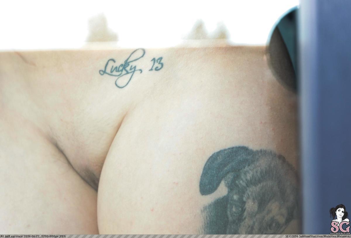 #Porn #Hot #Sexy #Tatoo #Damnit #Emptyheart #Softcore #Nature #Suicidegirls damnit-emptyheart-39 Pic. (Obraz z album SuicideGirlsNow))