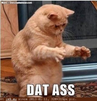 Dat Ass (meme face) (in Memes, rage faces and funny images)