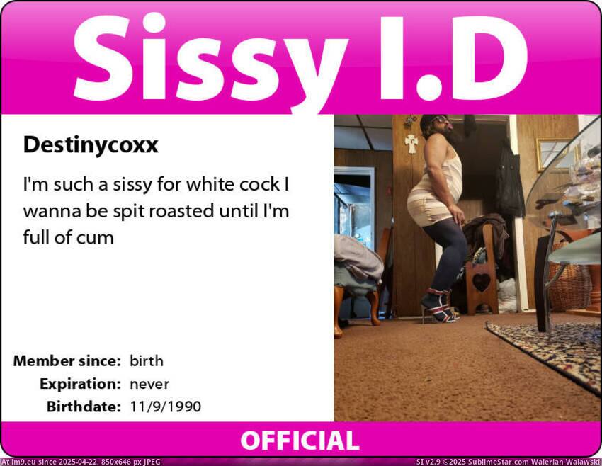 #Exposed #Sissy #Destinycoxx #Fag _destinycoxx__exposed__by_destinycoxx21_dfyui8y-414w-2x Pic. (Image of album Sissy exposed))