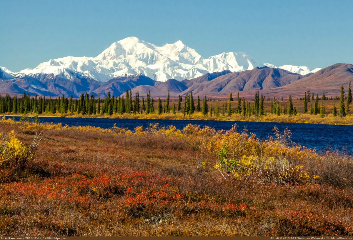 Самый северный нац парк. Национальный парк Денали. Национальный парк Денали, Аляска, США. Денали, штат Аляска парк. Заповедник Рангел-сент-Элайас.