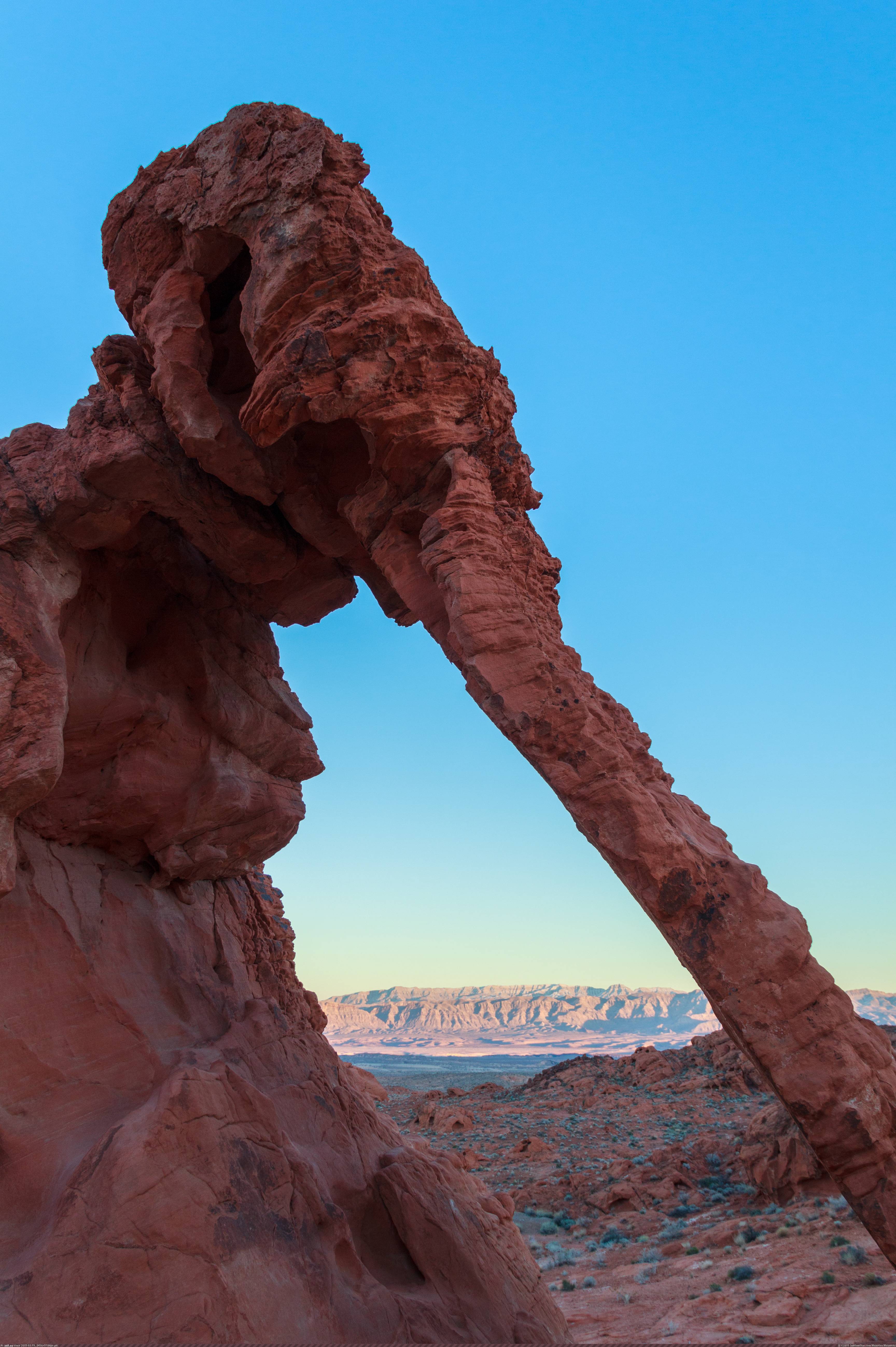 [Earthporn] Elephant Rock, Valley of Fire, NV  [3456x5184] (in My r/EARTHPORN favs)