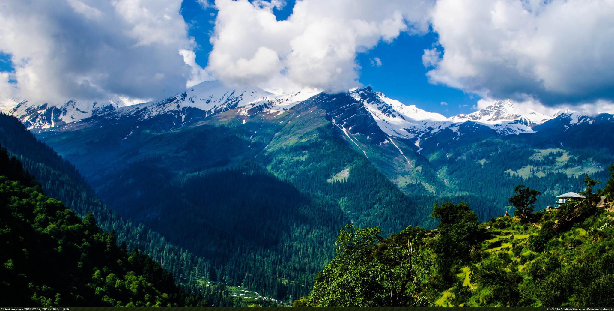 Равнины гималаи. Гималаи лес. Гималаи Долина Парвати. Леса Гималаев. Горы Гималаи.
