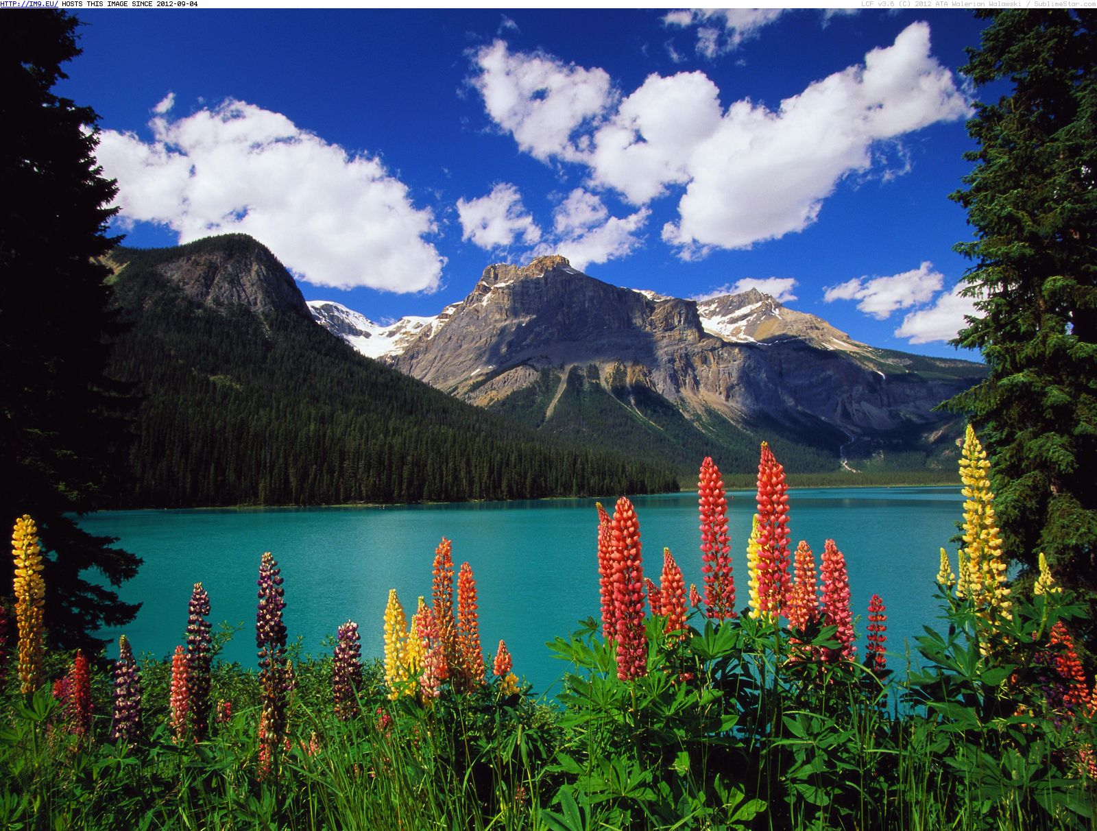 Emerald Lake, Yoho National Park, British Columbia (in Beautiful photos and wallpapers)