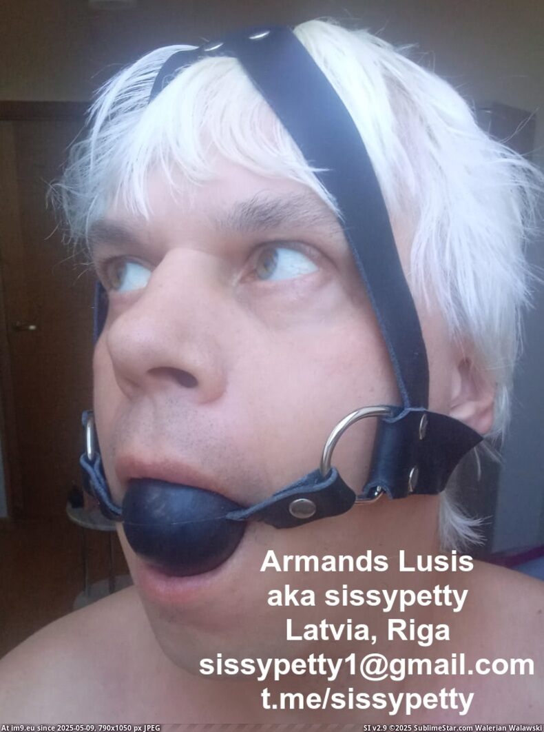 #Porn #Xxx #Slut #Whore #Gay #Fuck #Fag #Faggot #Exposure #Armands faggot Armands Lusis slut sissypetty Latvia Riga exposure porn whore xxx (20) Pic. (Image of album Humiliated fuck puppet Armands Lusis slut sissypetty Latvia Riga exposure porn whore xxx))