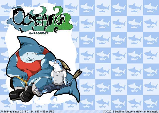 #Folder folder Pic. (Obraz z album torscrape))