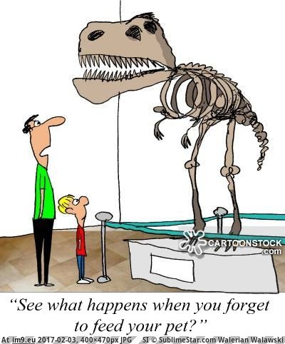 #Fossil Fossil Pic. (Bild von album Westman Jams Images))
